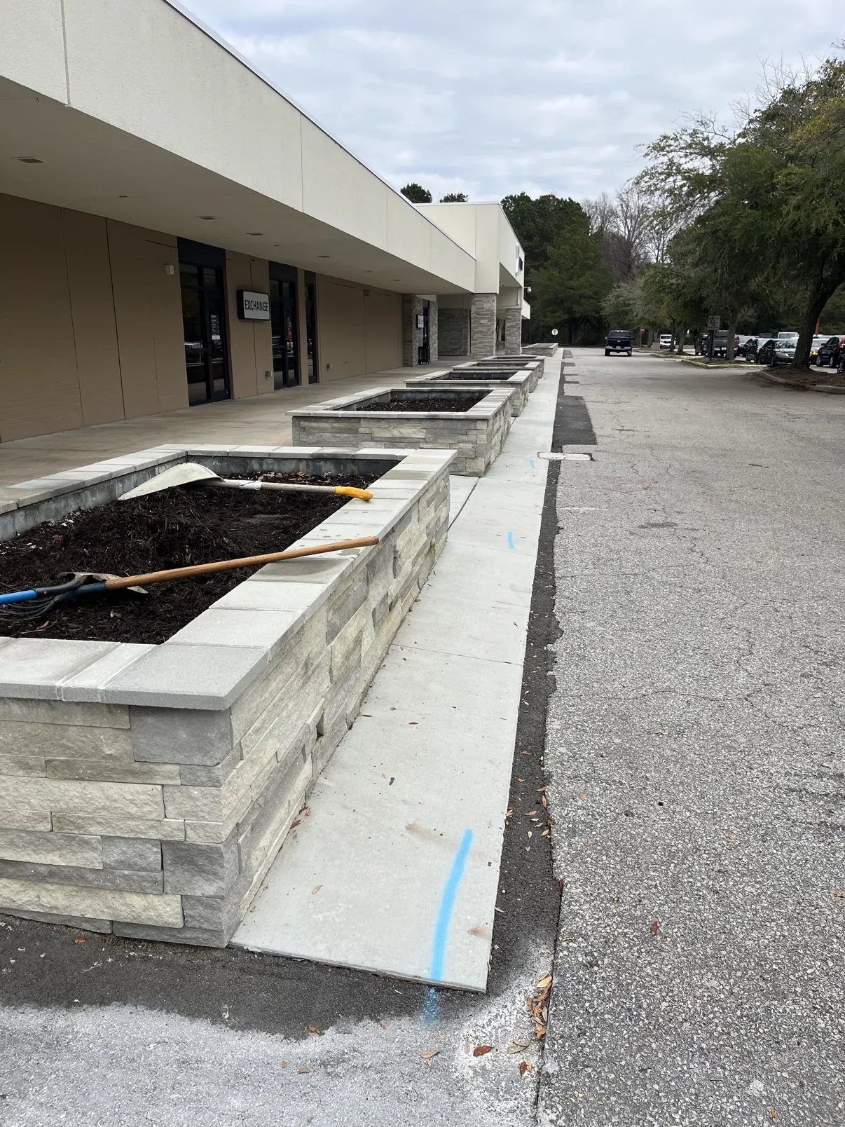 Commercial turf area before renovation